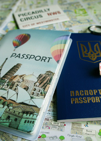 Обложка для паспорта, 9х13 см Ziz (16886654)