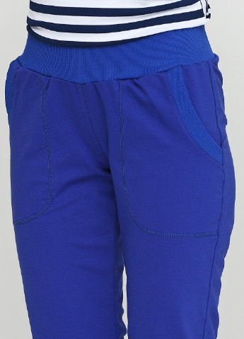 Синие спортивные демисезонные джоггеры брюки Radda