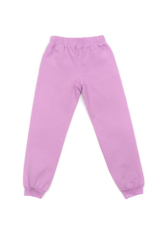 Бузковий демісезонний спортивний костюм "wonder land" (16071-134g-purple) Breeze