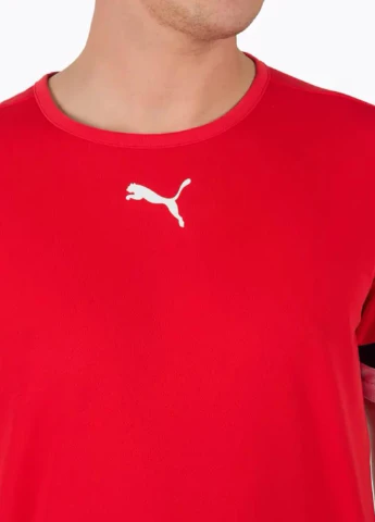 Красная футболка 704932-01 Puma teamRISE Jersey
