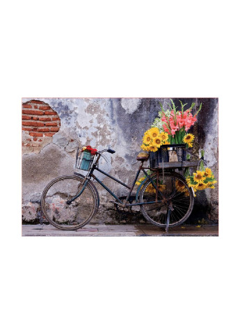 Пазл Велосипед та квіти 500 елементів (6336906) Educa (252407629)