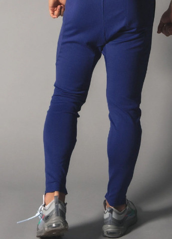 Синие демисезонные брюки Lyft