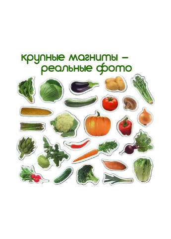 Набір магнітів "Овочі" MAGDUM ml4031-12 en (255335192)