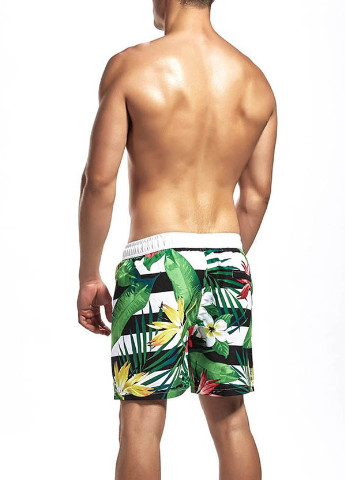 Шорти чоловічі SuperBody (250597553)