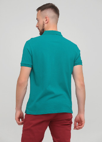 Поло Hackett (253382360)