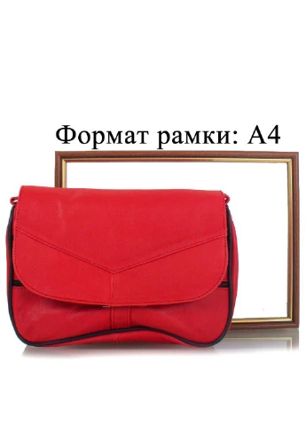 Женская кожаная сумка-почтальонка 22,5х17,5х8,5 см TuNoNa (195547454)