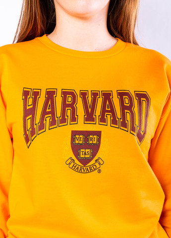 Помаранчевий світшот Time of Style напис без декору (279005320)