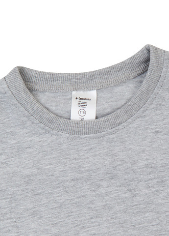 Серая демисезонная футболка Garnamama