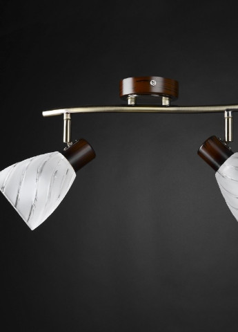 Светильник настенно-потолочный спот поворотный накладной классический HTL-160/2 E14 Brille (253893283)