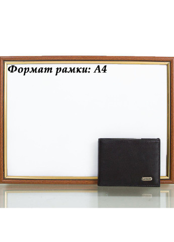Мужской кожаный кошелек 11х8,5х2,5 см Canpellini (252128115)