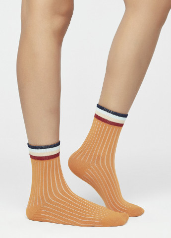 Шкарпетки Penti (179934050)