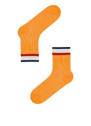 Шкарпетки Penti (179934050)