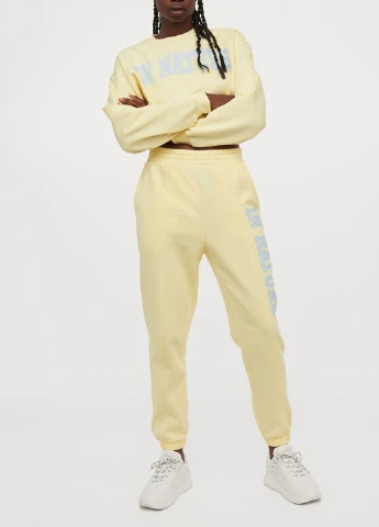 Штани H&M (252414127)