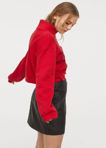 Кофта H&M (216134715)