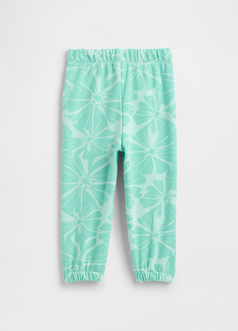 Спортивный костюм (толстовка, брюки) Gap (348419016)