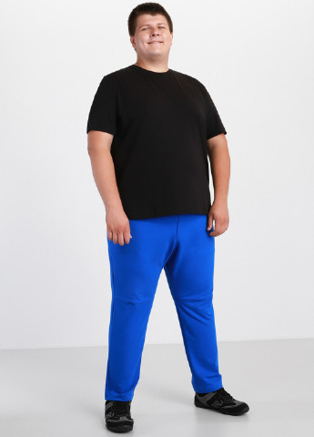 Синие спортивные демисезонные зауженные брюки Promin