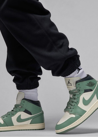 Штани FV7077-010 Jordan W BRKLN FLC PANT 24 (314516933)