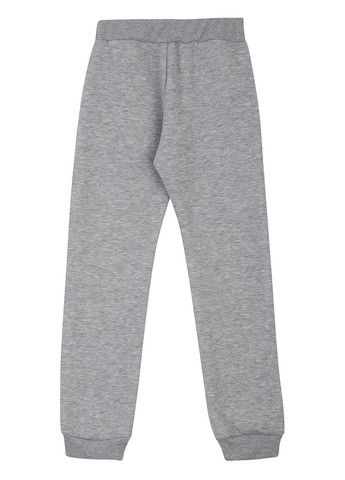 Светло-серые спортивные зимние джоггеры брюки Garnamama