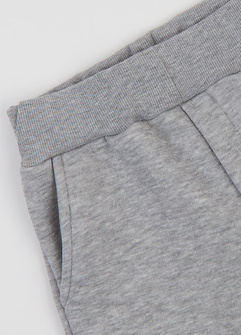 Светло-серые спортивные зимние джоггеры брюки Garnamama