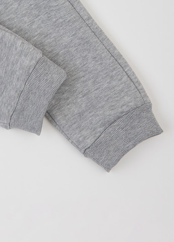 Светло-серые спортивные зимние джоггеры брюки Garnamama