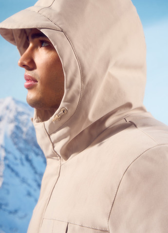 Парка Springfield (315624461)