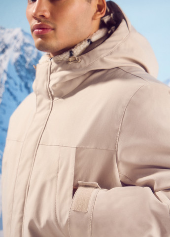 Парка Springfield (315624461)