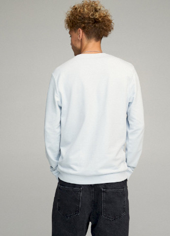 Светло-голубой свитшот мужской basic /no flis/ YAPPI (252259266)