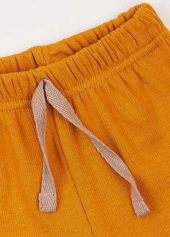 Гірчичний демісезонний комплект (лонгслів, штани) Фламинго