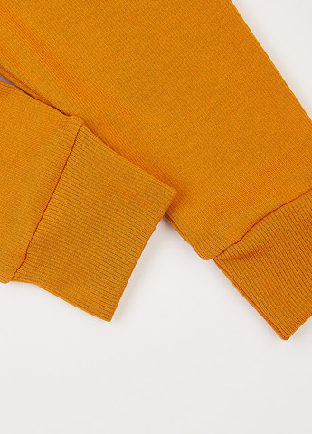 Гірчичний демісезонний комплект (лонгслів, штани) Фламинго