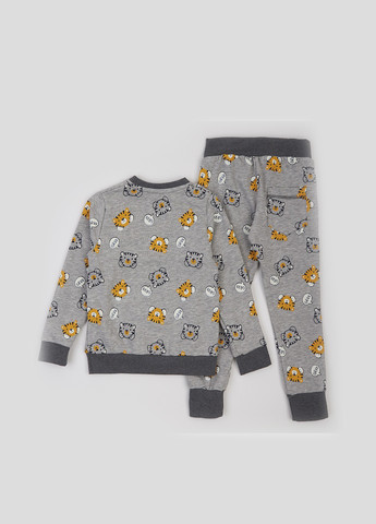 Сірий демісезонний комплект(светр, штани) ArDoMi