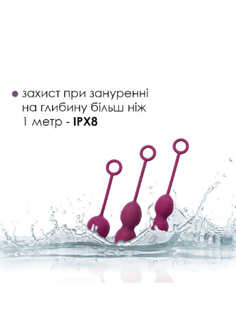 Набір вагінальних кульок Nova Violet Svakom (255073568)