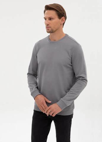 Серый свитшот Pierre Cardin однотонный без декора (366422664)