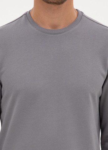 Серый свитшот Pierre Cardin однотонный без декора (366422664)