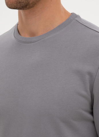 Серый свитшот Pierre Cardin однотонный без декора (366422664)