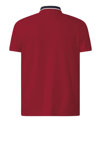 Поло Livergy (334288486)