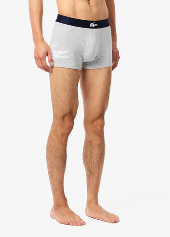 Труси (3шт.) Lacoste (348516928)