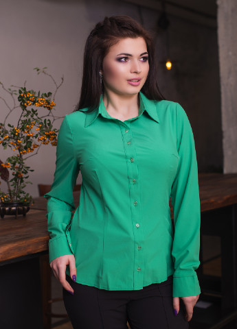 Зеленая кэжуал рубашка однотонная Elfberg
