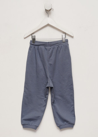Серо-синие кэжуал демисезонные брюки джоггеры H&M