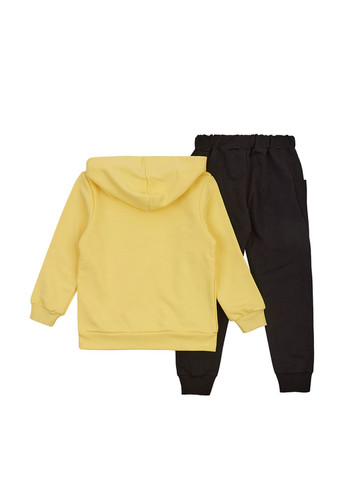 Комбінований демісезонний комплект (худі, штани) Ляля