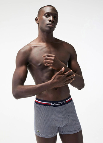 Трусы (3 шт.) Lacoste (329058368)
