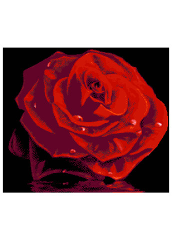 Набор для вышивания бисером Роза 55х48 см Александра Токарева (252253901)