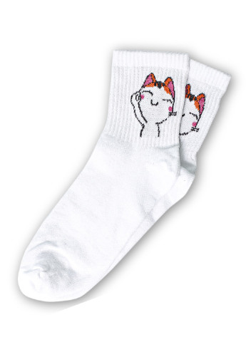 Шкарпетки Кицька 2 Rock'n'socks высокие (211258847)