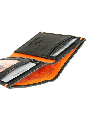 Гаманець чоловічий шкіряний AP60 Visconti (254314135)