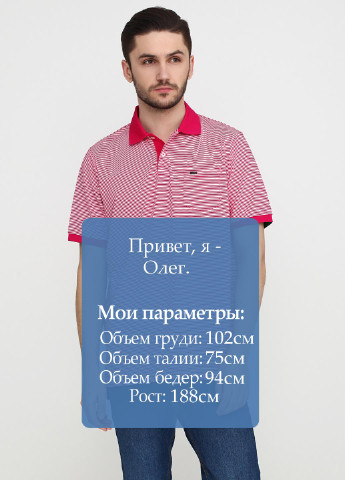 Малиновая футболка-поло для мужчин Ralph Lauren в полоску
