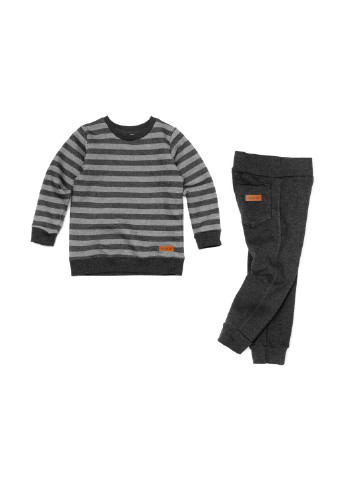 Сірий демісезонний комплект (світшот, брюки) ArDoMi