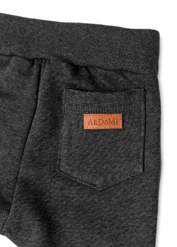 Серый демисезонный комплект (свитшот, брюки) ArDoMi