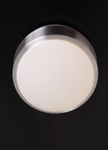 W-628/20W NW світильник настінно-стельовий Brille (251904470)