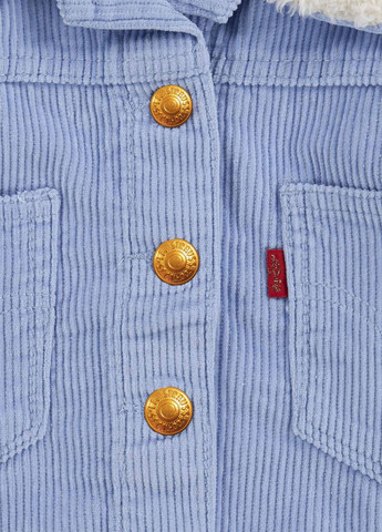 Голубая демисезонная куртка Levi's