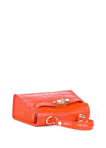 Сумка Bella Bertucci (322380512)