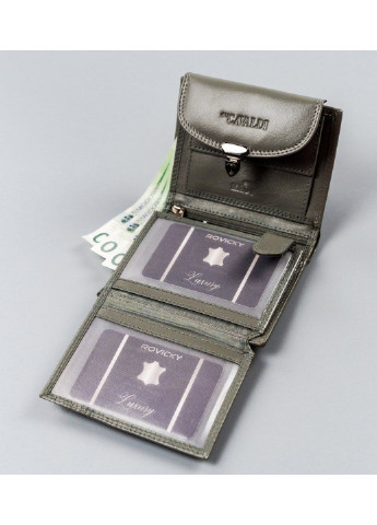 Кошелек женский кожаный RD-19-GCL 4U Cavaldi (254314407)